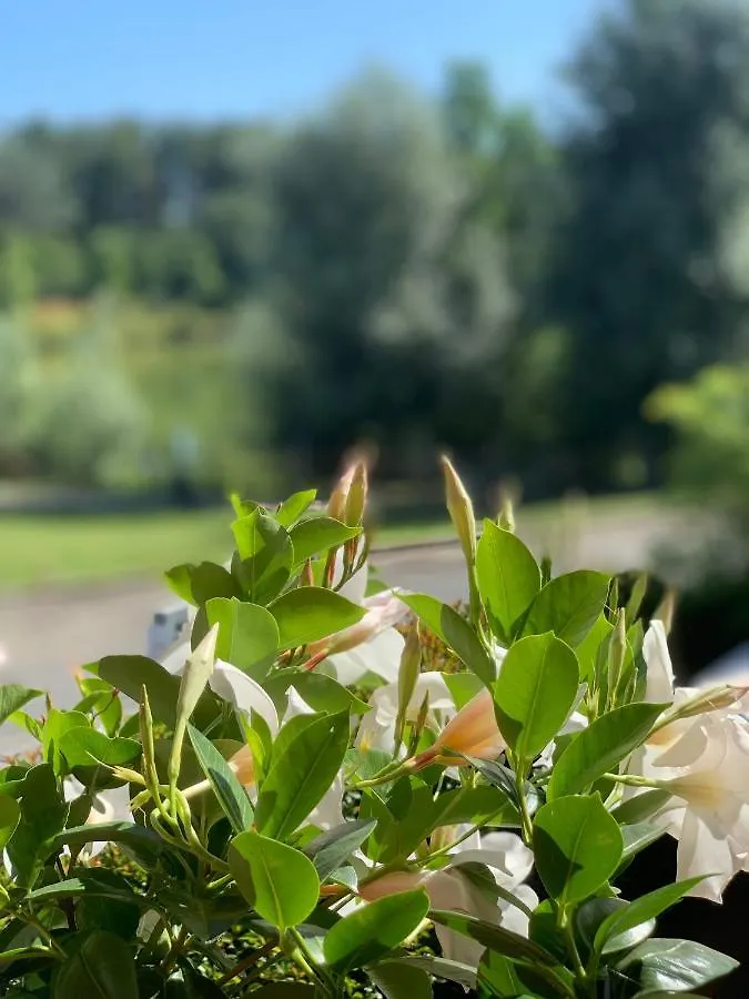 ** Bed & Breakfast Cameracaffe Sul Lago Arezzo Italy